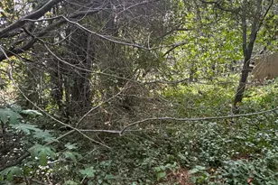 0 014-293-018-000, Roseville, CA 95661 - Photo 1