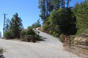 31180 Knob Cone Rd, Gold Run, CA 95717 - Photo 69