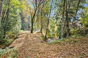 7497 Sly Park Rd, Placerville, CA 95667 - Photo 49