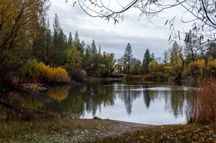 6100 Shasta Rd, Garden Valley, CA 95633 - Photo 3