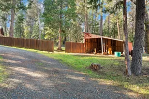 16558 French Town Rd, Brownsville, CA 95919 - Photo 49