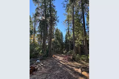 15855 Sunny Drive, Pioneer, CA 95666 - Photo 3