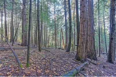 0 17534 Lightfoot Way, Nevada City, CA 95959 - Photo 9