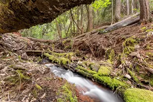 7017 Blackhawk Ln, Foresthill, CA 95631 - Photo 77