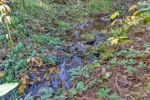 27258 Columbia Dr, Pioneer, CA 95666 - Photo 29