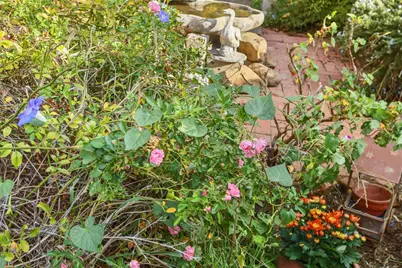 25523 E Groves Road, Farmington, CA 95230 - Photo 59