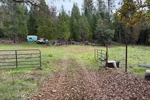 8890 La Porte Rd, Brownsville, CA 95919 - Photo 1