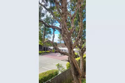 535 Pierce Street #5109, Albany, CA 94706 - Photo 19