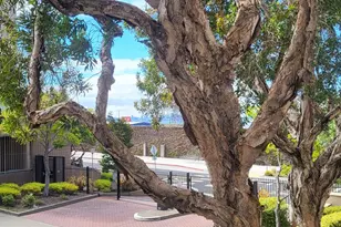 535 Pierce St, Albany, CA 94706 - Photo 19