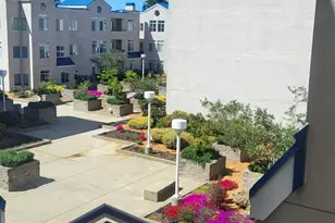 535 Pierce St, Albany, CA 94706 - Photo 17