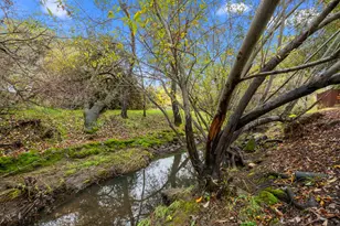 2628 Royal Park Dr, Cameron Park, CA 95682 - Photo 51