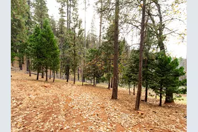 5194 Woodhaven Drive, Grizzly Flats, CA 95636 - Photo 17