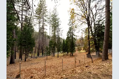 5194 Woodhaven Drive, Grizzly Flats, CA 95636 - Photo 11