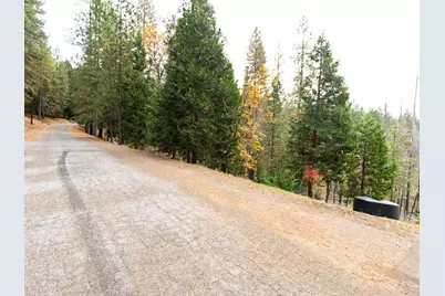 5194 Woodhaven Drive, Grizzly Flats, CA 95636 - Photo 5