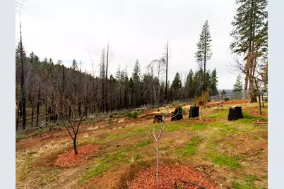 5194 Woodhaven Drive, Grizzly Flats, CA 95636 - Photo 29