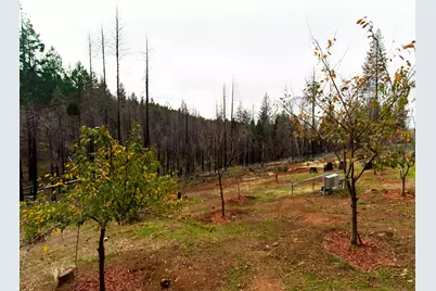 5194 Woodhaven Drive, Grizzly Flats, CA 95636 - Photo 21