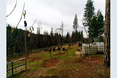 5194 Woodhaven Drive, Grizzly Flats, CA 95636 - Photo 33