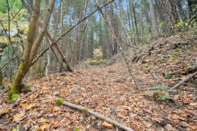 0 Starkes Grade Road, Pollock Pines, CA 95726 - Photo 21