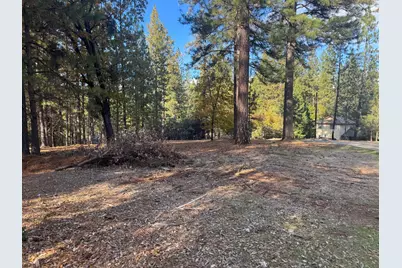 6364 Green Leaf Lane, Foresthill, CA 95631 - Photo 5