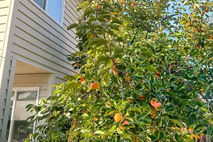 1008 Andy Cir, Sacramento, CA 95838 - Photo 27