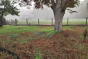 499 Leven St, Grimes, CA 95950 - Photo 69