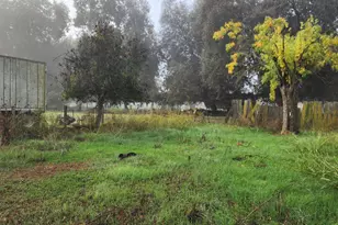 499 Leven St, Grimes, CA 95950 - Photo 63