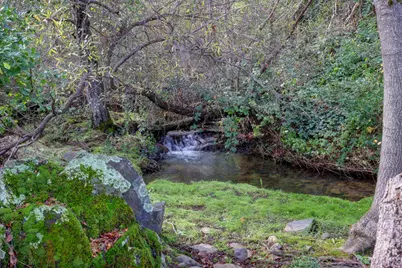 Grass Valley Highway #213, Auburn, CA 95603 - Photo 41