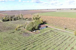 25839 N Mackville Rd, Clements, CA 95227 - Photo 11