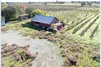 25839 N Mackville Road, Clements, CA 95227 - Photo 21