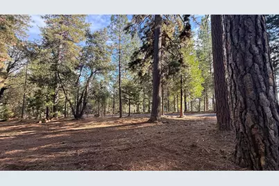 19045 Pine Drive, Pioneer, CA 95666 - Photo 1