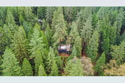 19159 Allan Road, Volcano, CA 95689 - Photo 21