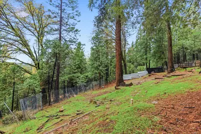 19159 Allan Road, Volcano, CA 95689 - Photo 27