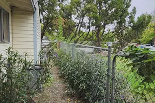 1703 20th St, Oroville, CA 95965 - Photo 3