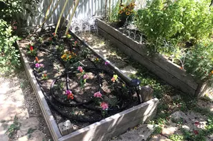 126 Center St, Jackson, CA 95642 - Photo 75