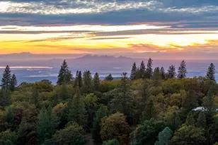 14990 Willow Glen Rd, Brownsville, CA 95919 - Photo 79