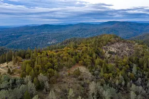 14990 Willow Glen Rd, Brownsville, CA 95919 - Photo 77