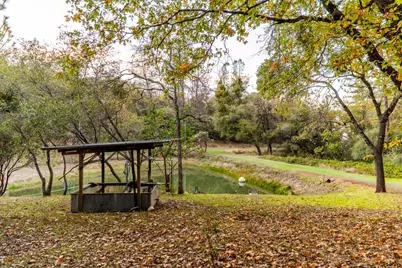 14990 Willow Glen Road, Brownsville, CA 95919 - Photo 71