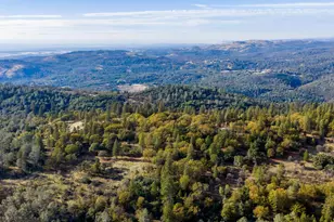 14990 Willow Glen Rd, Brownsville, CA 95919 - Photo 75