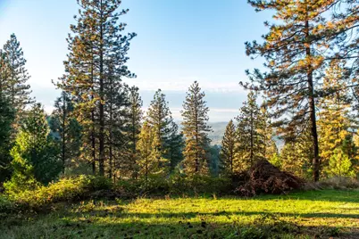 14990 Willow Glen Road, Brownsville, CA 95919 - Photo 69