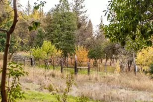 14990 Willow Glen Rd, Brownsville, CA 95919 - Photo 73