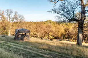 14990 Willow Glen Rd, Brownsville, CA 95919 - Photo 61