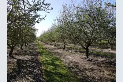 1119 N Verduga Road, Turlock, CA 95380 - Photo 43