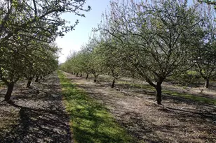 1119 N Verduga Rd, Turlock, CA 95380 - Photo 43