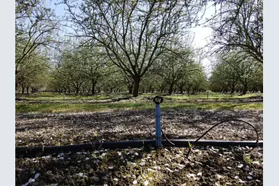 1119 N Verduga Road, Turlock, CA 95380 - Photo 45