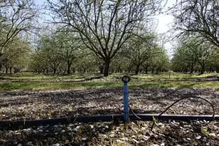 1119 N Verduga Rd, Turlock, CA 95380 - Photo 45