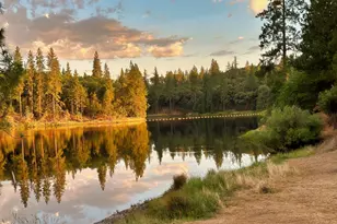 20210 Canyon View Rd, Jackson, CA 95642 - Photo 19