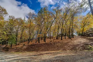 [Address not provided], Fiddletown, CA 95629 - Photo 59