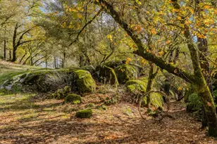 [Address not provided], Fiddletown, CA 95629 - Photo 5