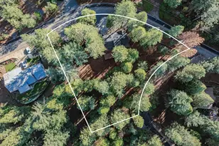 26005 Sugar Pine Dr, Pioneer, CA 95666 - Photo 61