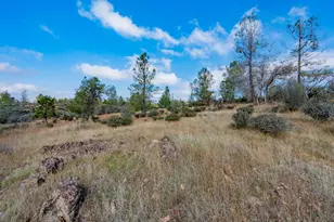 12137 Newtown Rd, Nevada City, CA 95959 - Photo 1